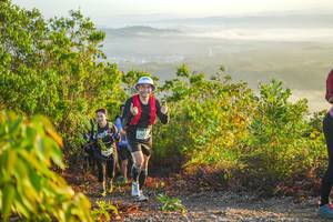 BIB: 207
                            <button type="button" onclick="openModal(21874930)" class="btn btn-primary btn-sm float-right btn-popup" data-toggle="modal" data-target=".modal-high-quality">
                        <i class="fas fa-shopping-cart"></i> Add to Cart
                    </button>
                                            <button type="button" onclick="isThisMe(21874930, true)" class="btn btn-success btn-sm float-right btn-popup btn-isme hidden" data-toggle="tooltip" data-placement="bottom" title="นี่คือรูปของคุณใช่ไหม คลิกที่นี่เพื่อเอาเข้าอัลบั้ม">
                        <i class="fas fa-plus"></i> Add to album
                    </button>
                    <button type="button" onclick="isThisMe(21874930, false)" class="btn btn-warning btn-sm float-right btn-popup btn-isnotme hidden">
                        <i class="fas fa-ban"></i> Remove from album
                    </button>